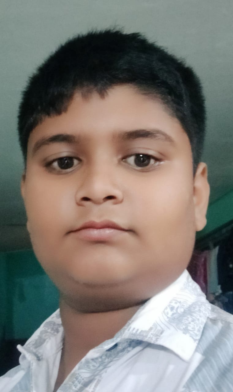 AYUSH MALLIK